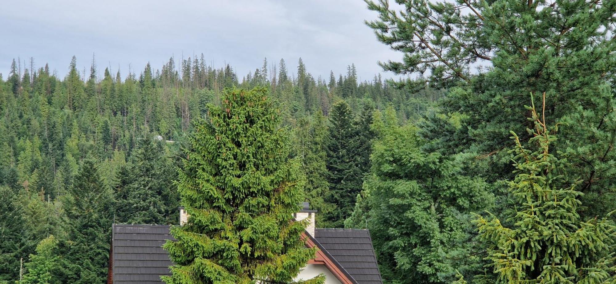Apartamenty Pod Limba Zakopane Exterior foto