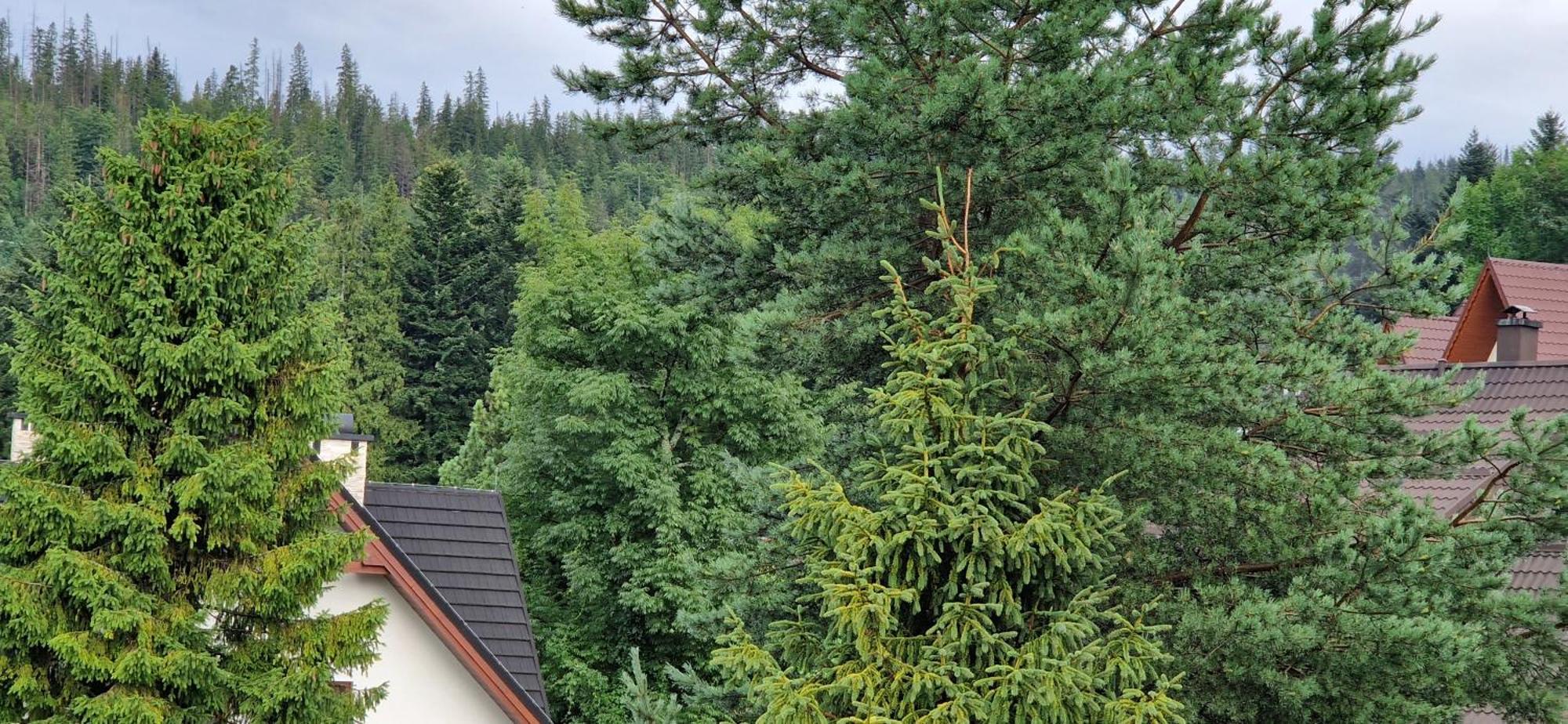 Apartamenty Pod Limba Zakopane Exterior foto